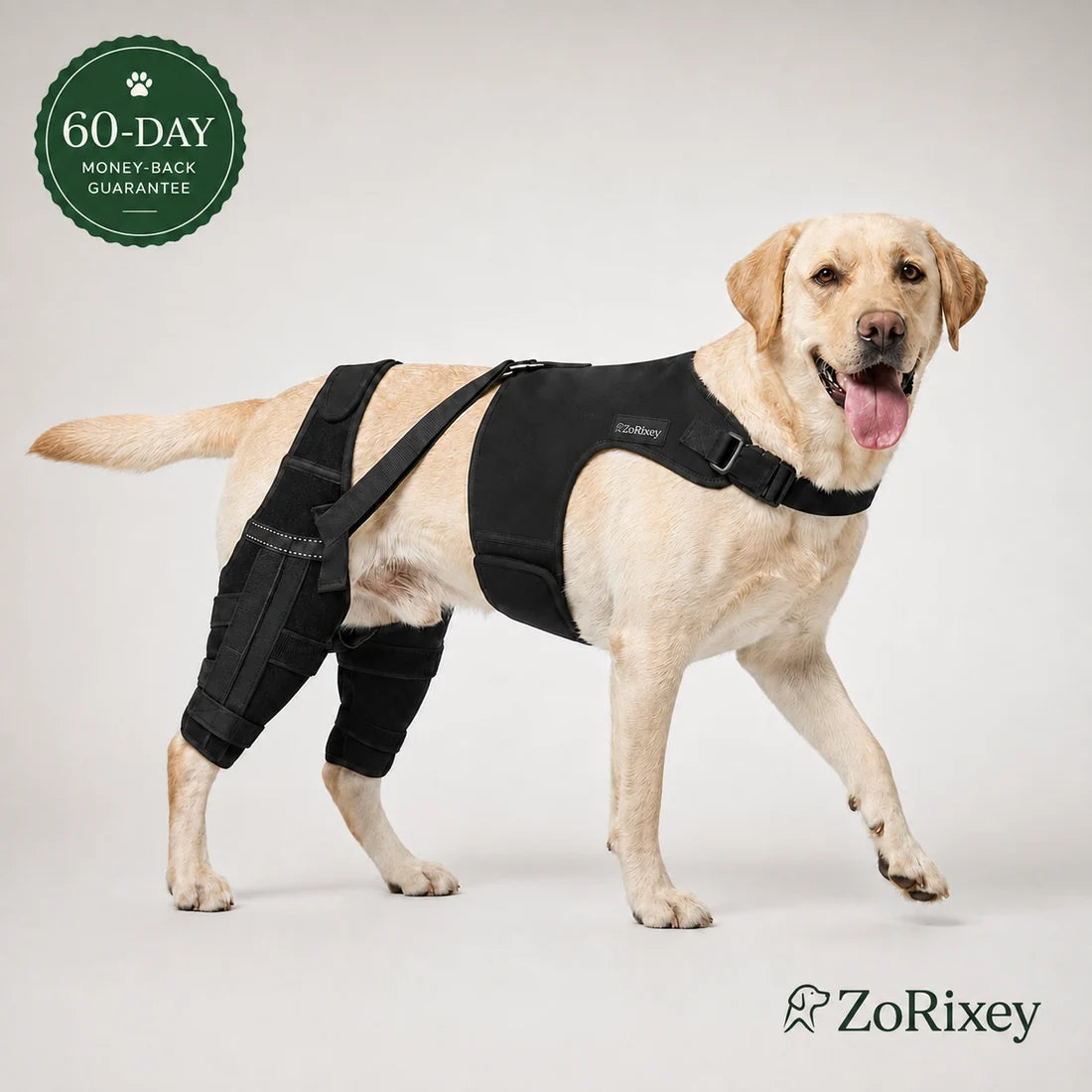 Dual-Leg Knee Brace Harness