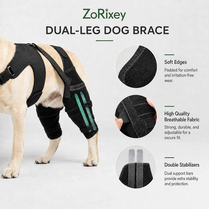 Dual-Leg Knee Brace Harness
