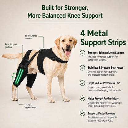 Dual-Leg Knee Brace Harness