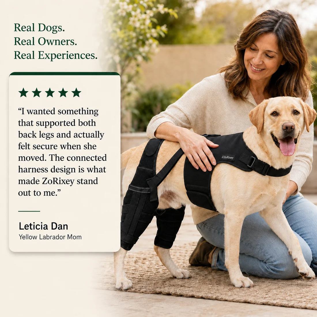 Dual-Leg Knee Brace Harness