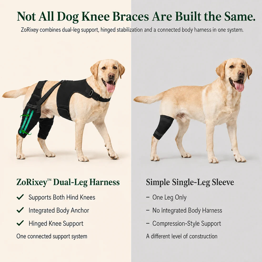 Dual-Leg Knee Brace Harness