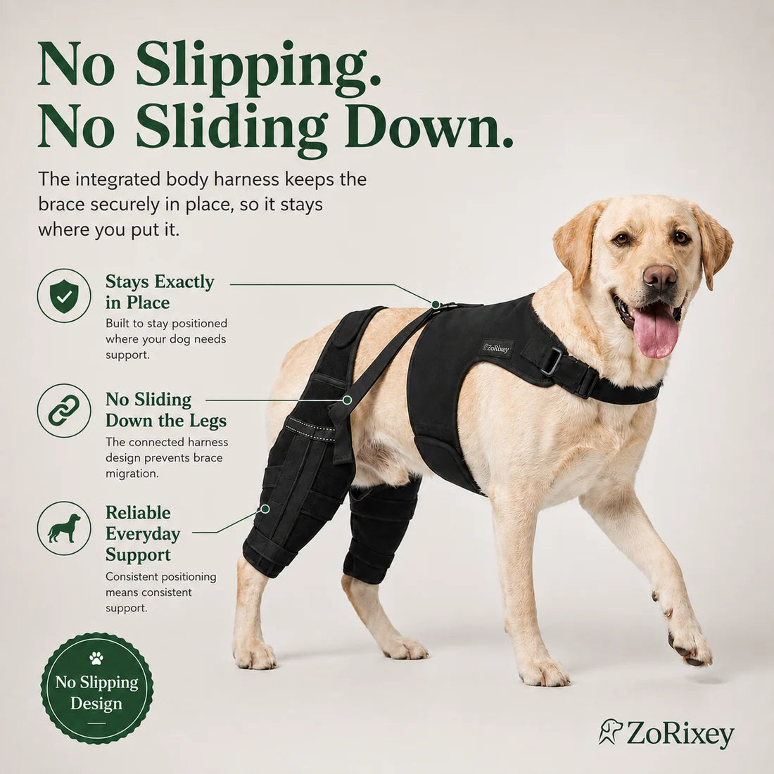 Dual-Leg Knee Brace Harness