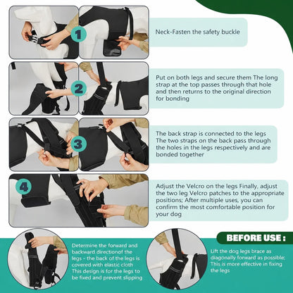 Dual-Leg Knee Brace Harness
